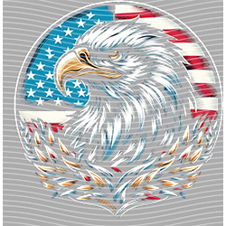 USA-MG 3728